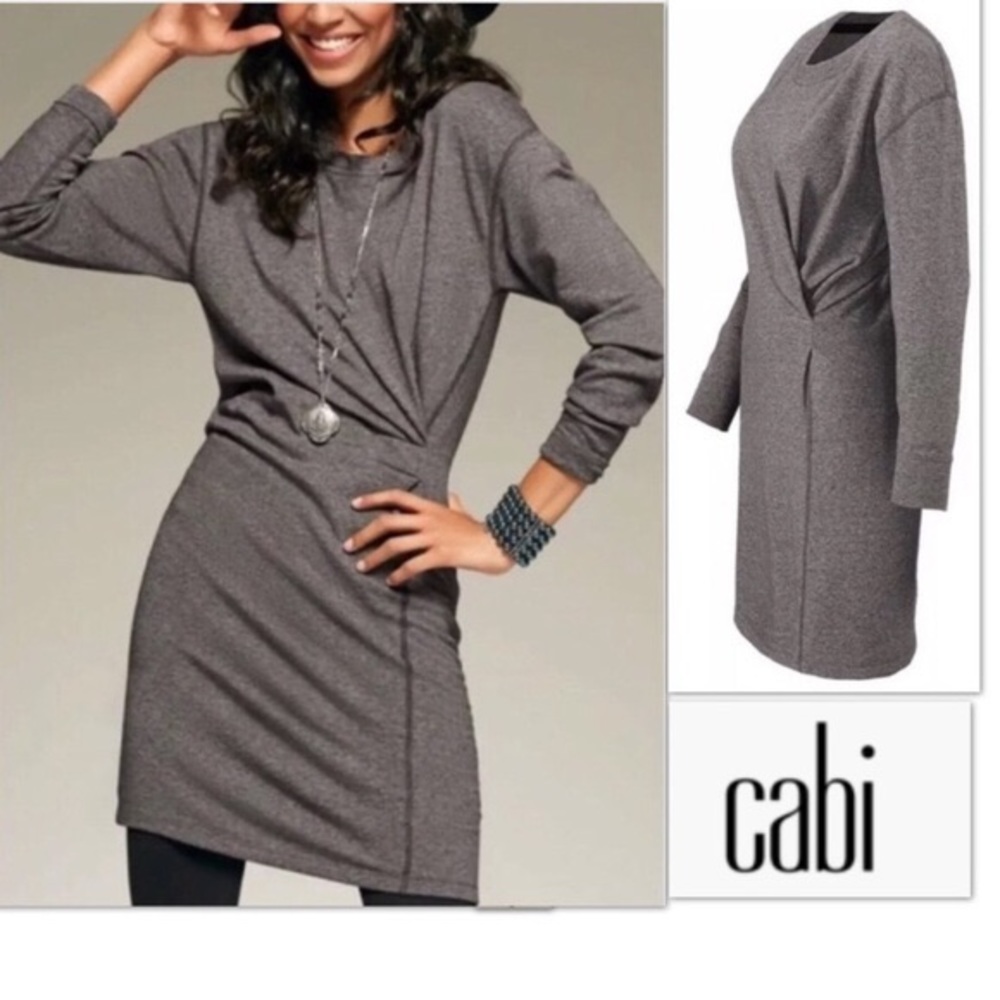CAbi Gray Long Sleeve Dress